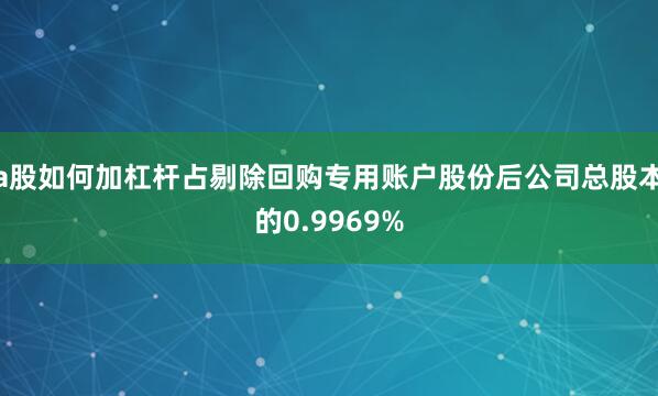 a股如何加杠杆占剔除回购专用账户股份后公司总股本的0.9969%